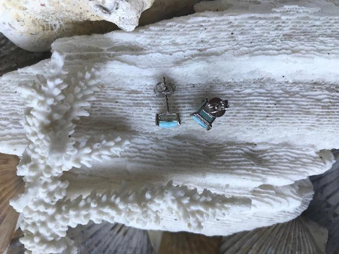 Sterling Silver Natural Princess Cut Larimar Stud Earrings