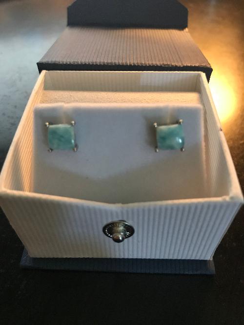 Sterling Silver Natural Princess Cut Larimar Stud Earrings