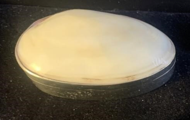 Pair Mother of Pearl Oval Abalone Trinket Box