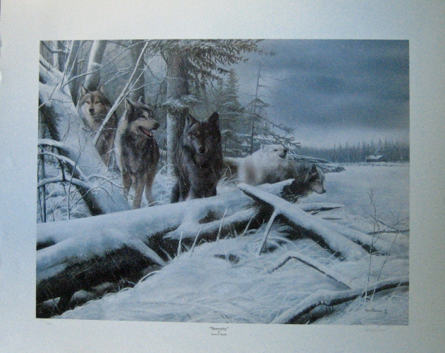 Kevin T. Daniels "Serenity" Ltd Edition Print, 2334/5000, large print - MINT. Shop Thrifty Treasures