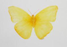 Cloudless Sulphur Butterfly Wing Earrings - Shop Thrifty Treasures