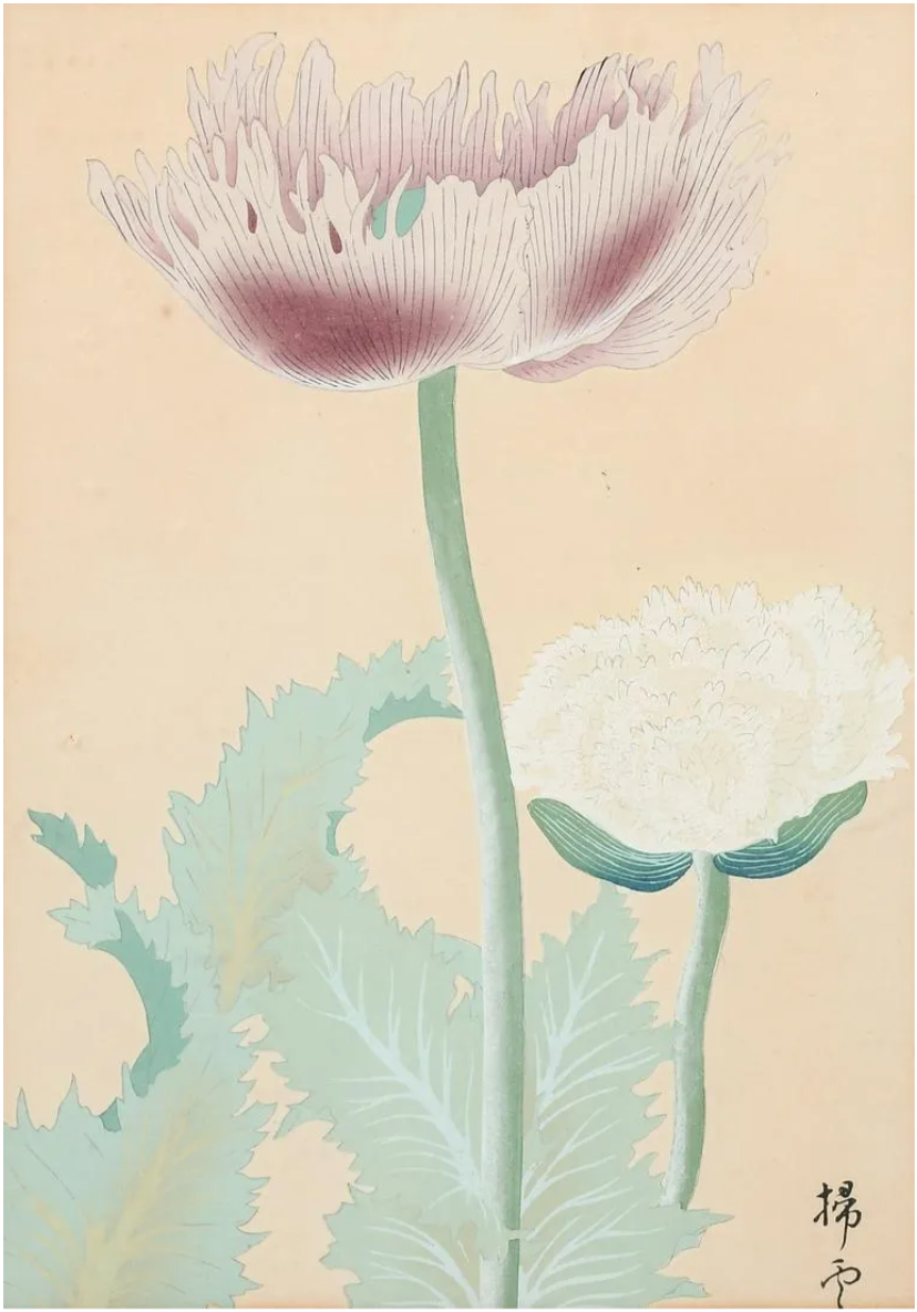 Signed Japanese Woodblock Print of Poppies