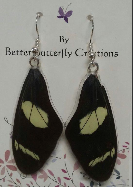 Heliconius doris Butterfly Wing Earrings
