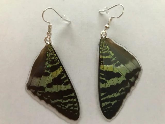 Sunset Moth Butterfly Wing Earrings - Shop Thrifty Treasures